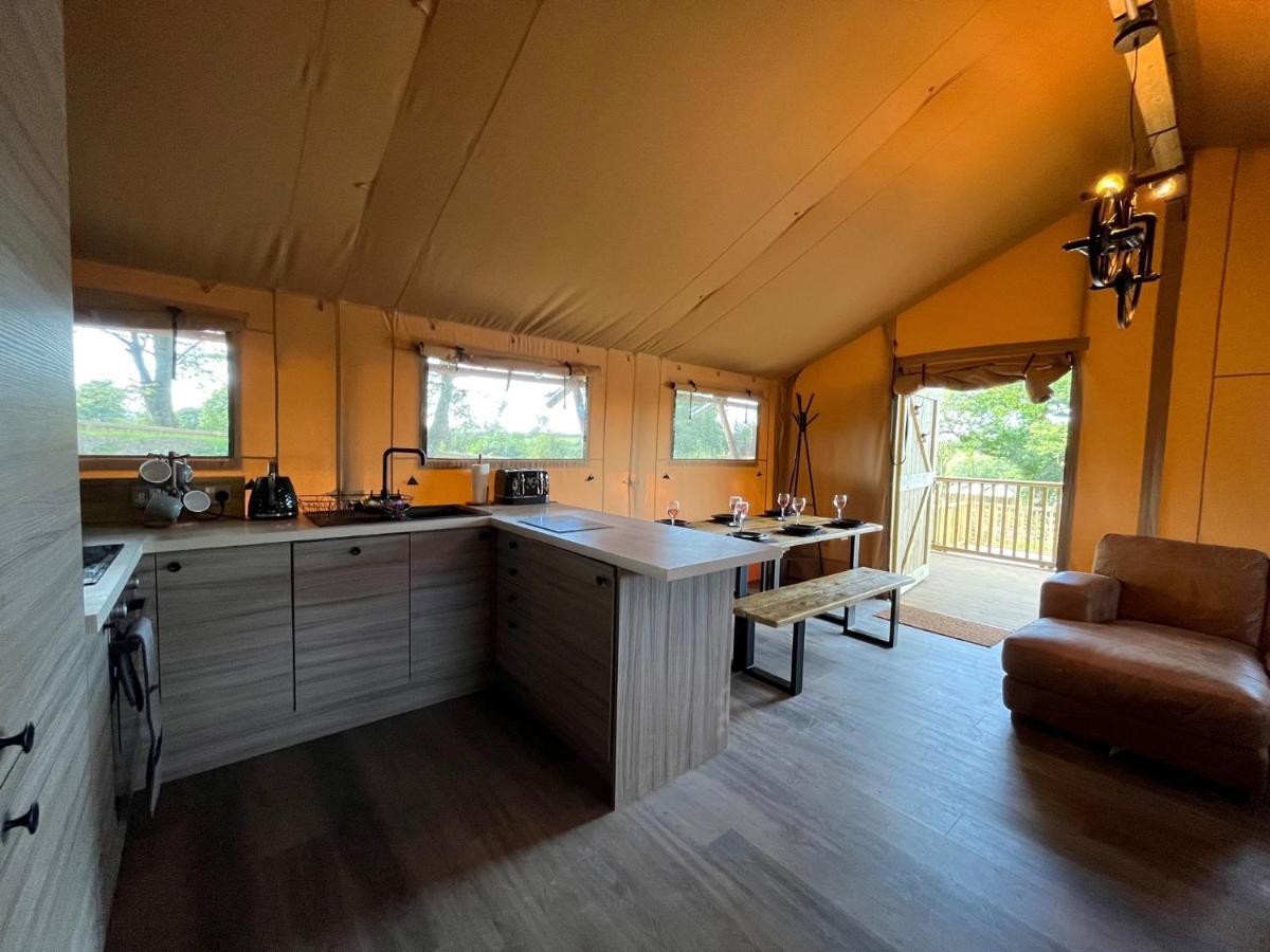 Aladdin Safari Tent Tenby Dış mekan fotoğraf