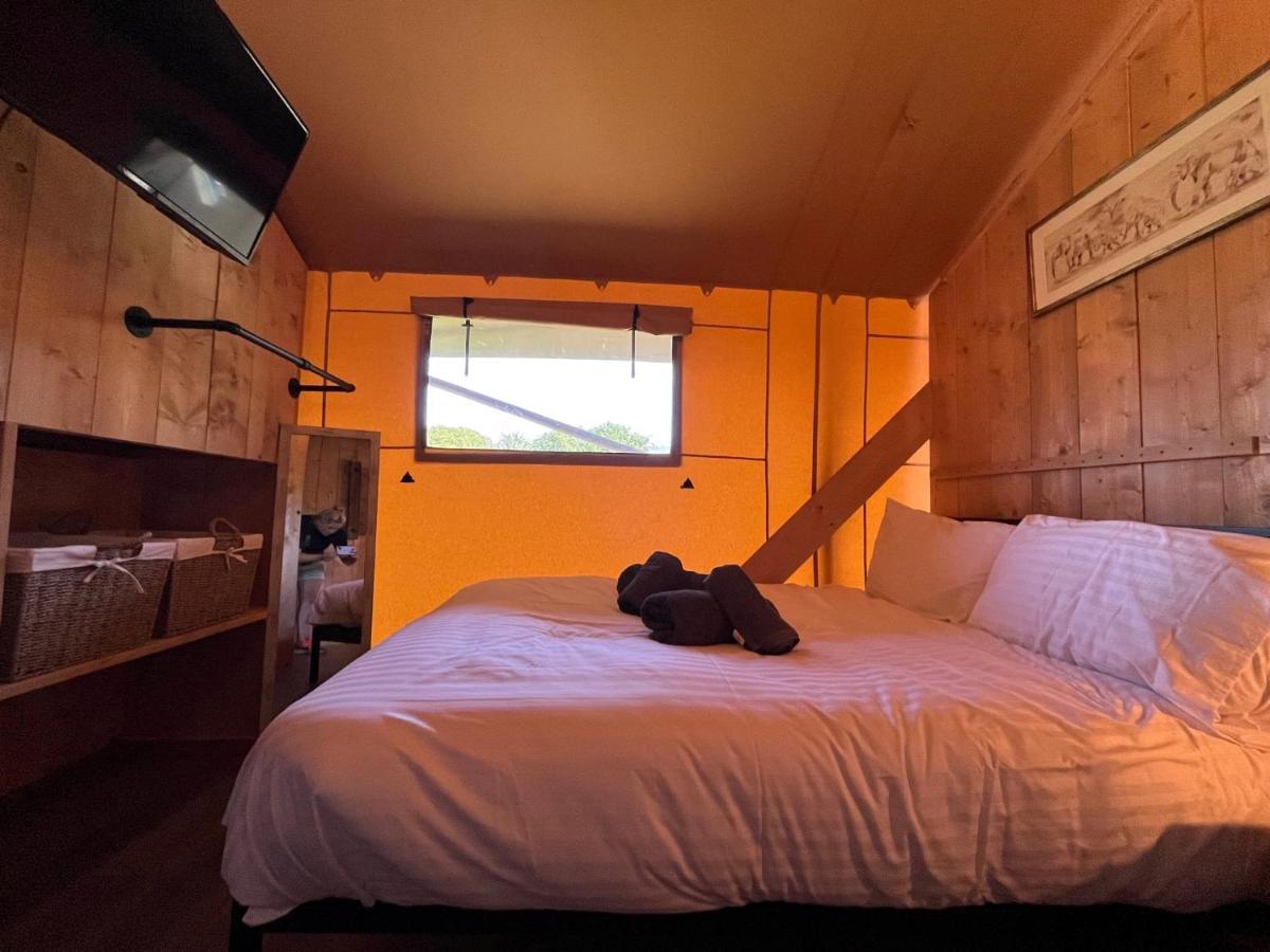 Aladdin Safari Tent Tenby Dış mekan fotoğraf